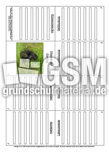 Faltbuch-Steckbrief-Gorilla-2.pdf